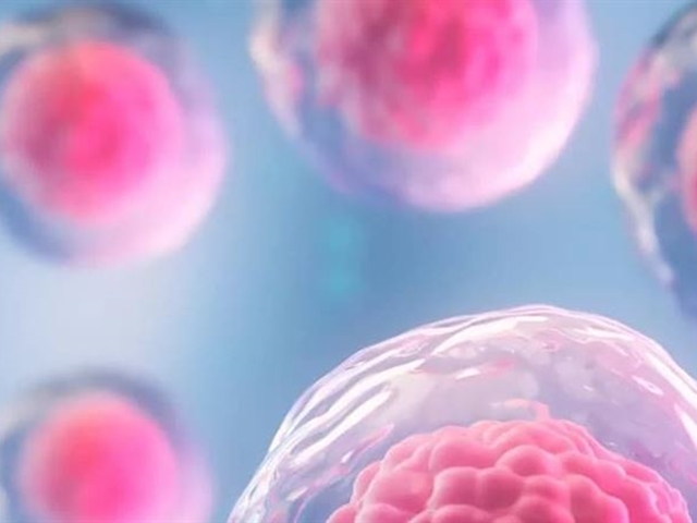 Exosomas: La innovación cosmética que tu piel estaba esperando