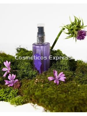 Salerm Sérum Capilar Grapeology - Imagen 2